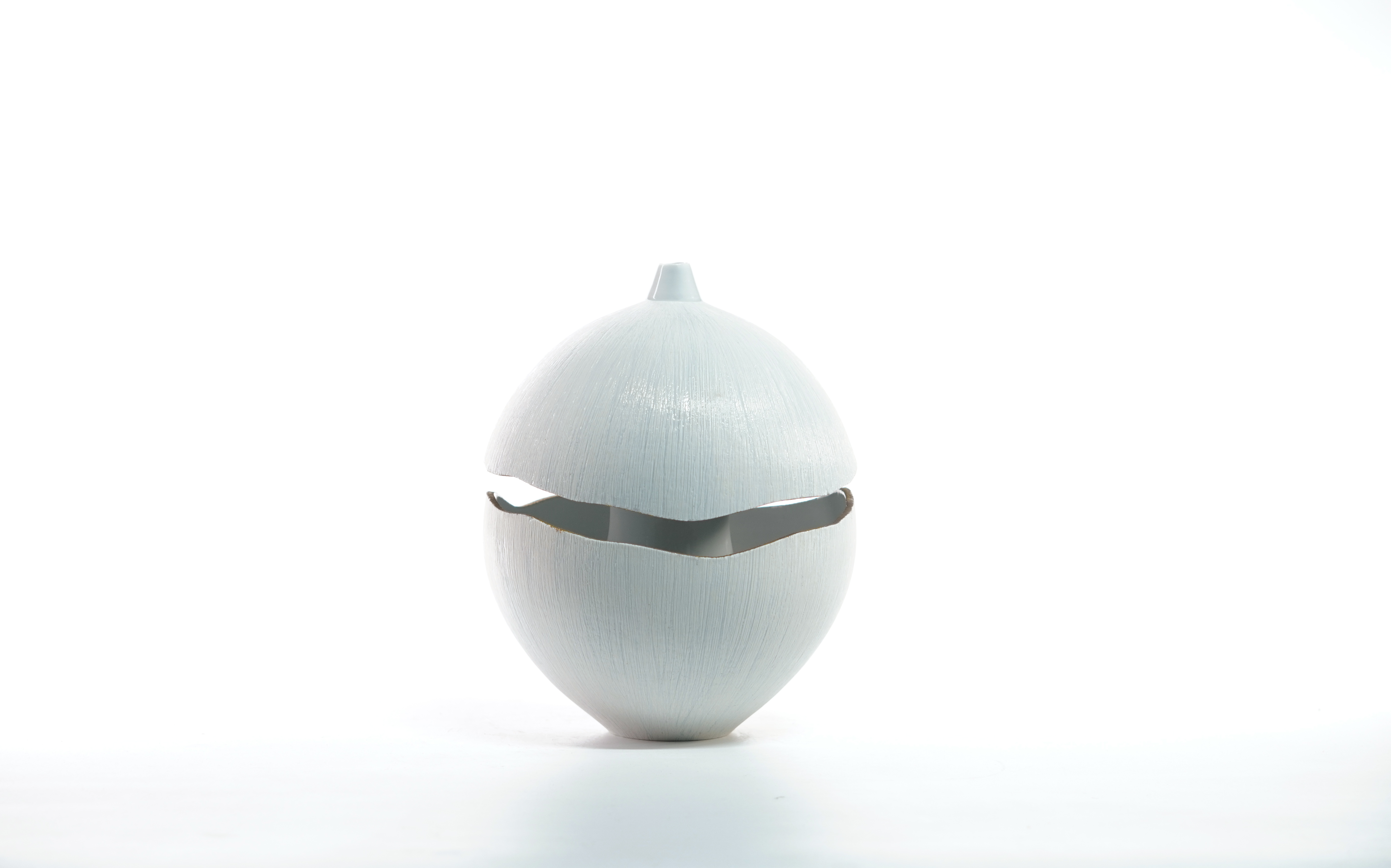 고용석_발아 (1).JPG